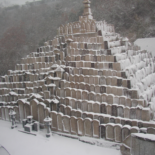 住吉霊園の冬