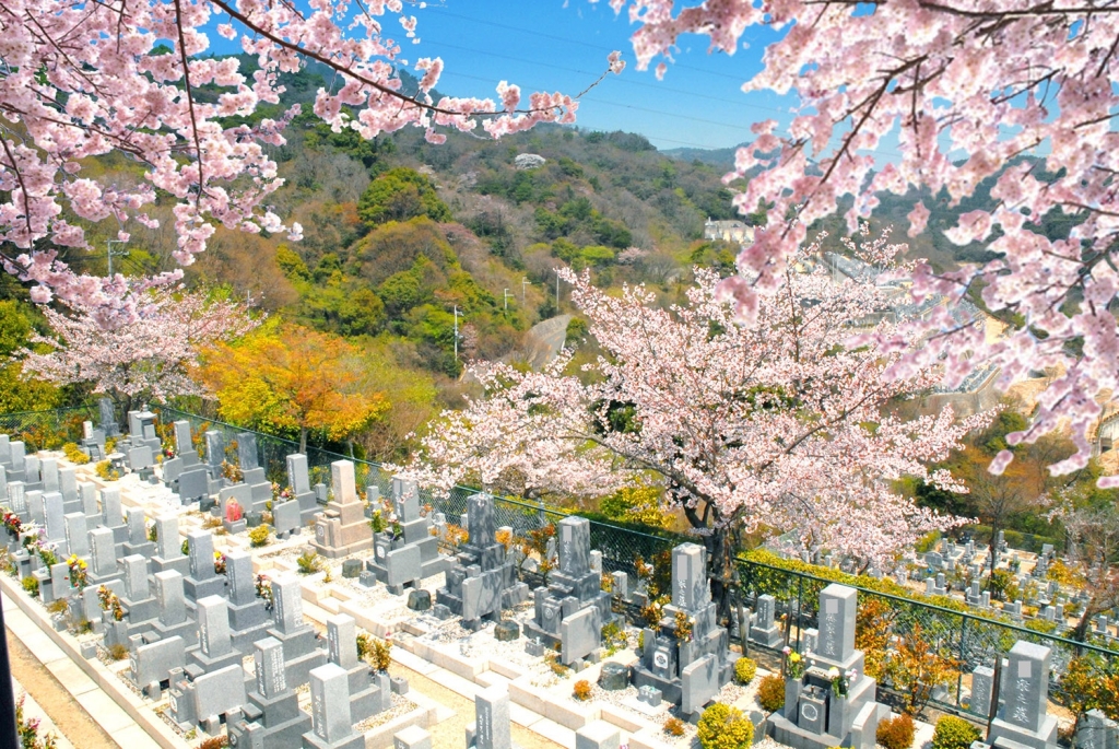 神戸市　住吉霊園　一般墓所　永代供養墓